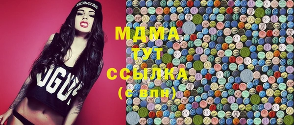 ГАЛЛЮЦИНОГЕННЫЕ ГРИБЫ Бородино