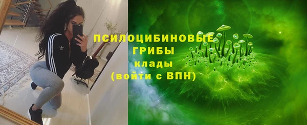 каннабис Богданович