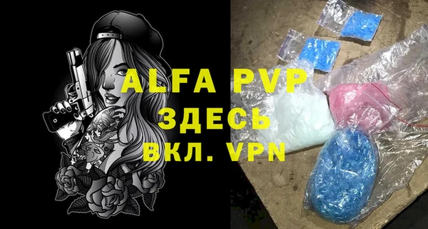 ГАЛЛЮЦИНОГЕННЫЕ ГРИБЫ Бородино