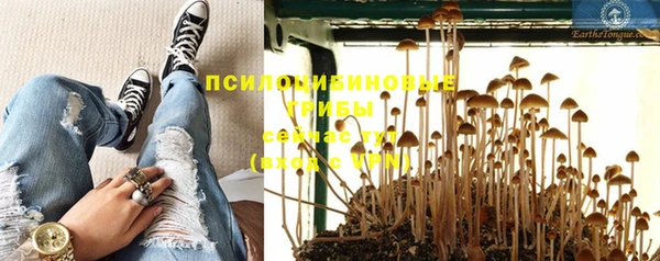 скорость Богородицк