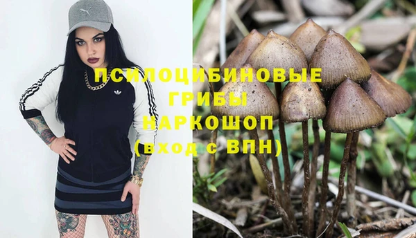ГАЛЛЮЦИНОГЕННЫЕ ГРИБЫ Бородино