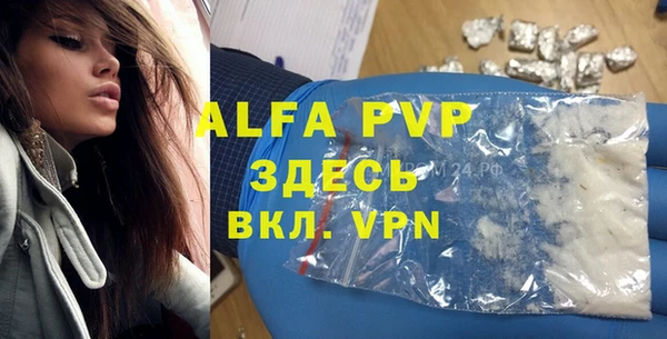 ГАЛЛЮЦИНОГЕННЫЕ ГРИБЫ Бородино