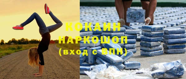 ГАЛЛЮЦИНОГЕННЫЕ ГРИБЫ Бородино