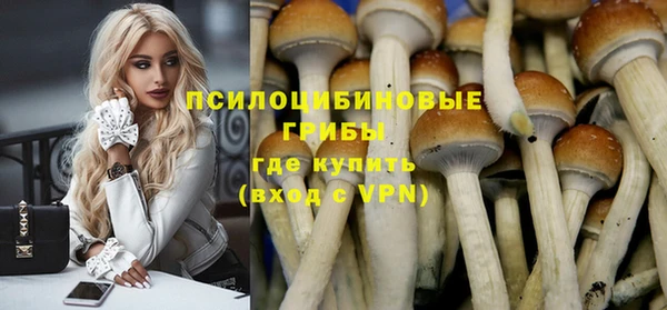 прущая мука Бронницы