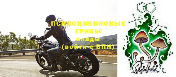 бошки Богородск