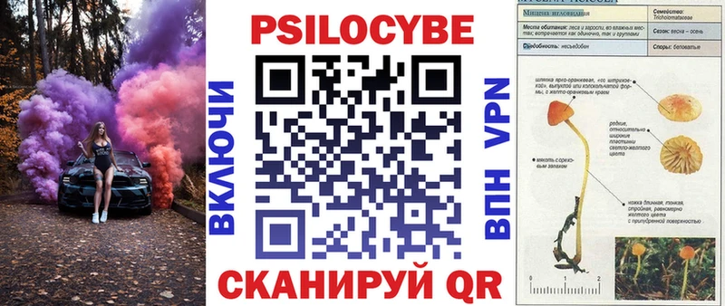 Галлюциногенные грибы ЛСД  Городище 